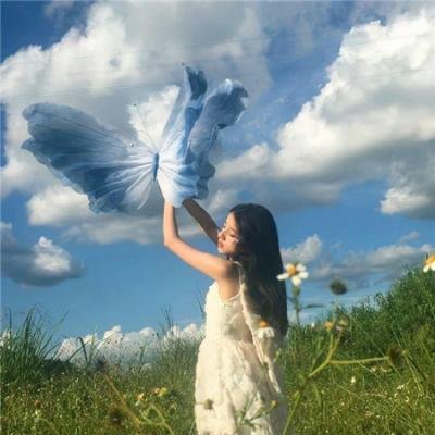 一个关于天使的美丽谎言